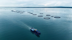 广东省属企业激活“海洋+陆地”